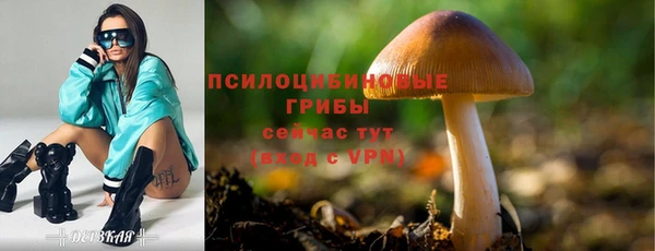 соль ск Михайловка
