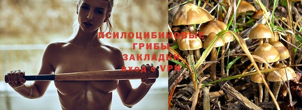 Альфа ПВП Навашино
